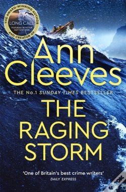 Capa do artigo Raging Storm