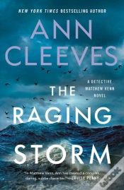Capa do artigo Raging Storm
