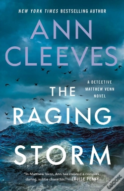 Capa do artigo Raging Storm