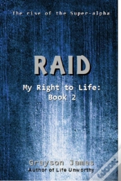 Capa do artigo Raid