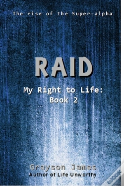 Capa do artigo Raid