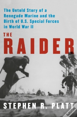 Capa do artigo Raider