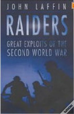 Capa do artigo Raiders