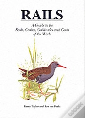Capa do artigo Rails
