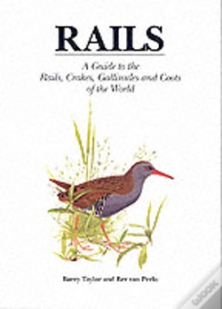 Capa do artigo Rails