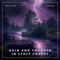 Rain And Thunder In Leafy Forest - Preview