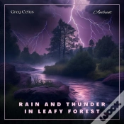 Capa do artigo Rain And Thunder In Leafy Forest