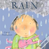 Capa do artigo Rain