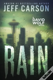 Capa do artigo Rain