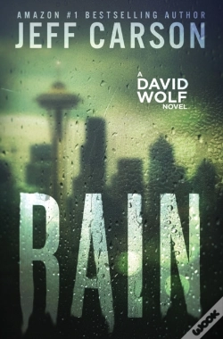 Capa do artigo Rain