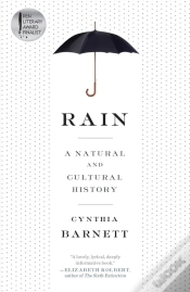 Capa do artigo Rain