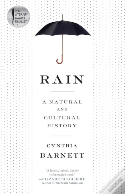 Capa do artigo Rain