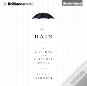 Capa do artigo Rain