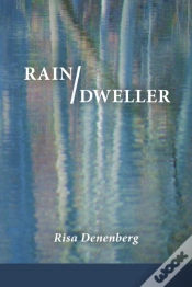 Capa do artigo Rain / Dweller