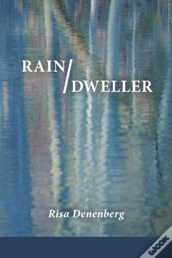Capa do artigo Rain / Dweller