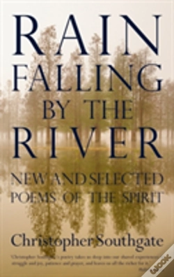 Capa do artigo Rain Falling By The River
