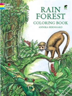 Capa do artigo Rain Forest Coloring Book