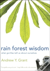 Capa do artigo Rain Forest Wisdom
