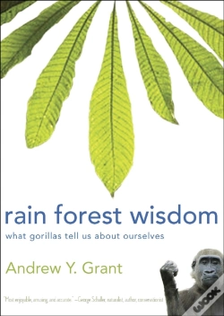Capa do artigo Rain Forest Wisdom