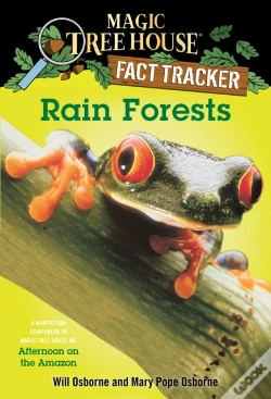 Capa do artigo Rain Forests