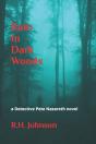 Rain In Dark Woods - Preview