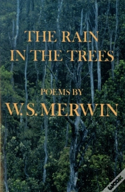 Capa do artigo Rain In The Trees