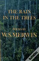 Rain In The Trees