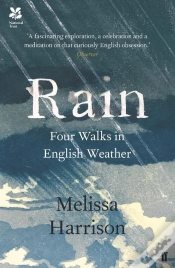 Capa do artigo Rain