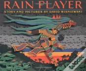 Capa do artigo Rain Player