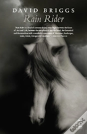 Capa do artigo Rain Rider