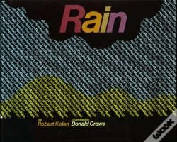 Capa do artigo Rain