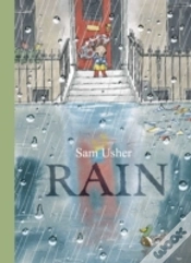 Capa do artigo Rain