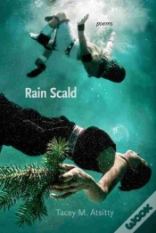 Capa do artigo Rain Scald
