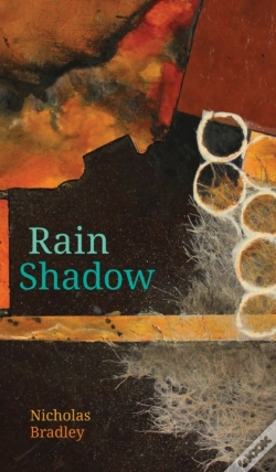 Capa do artigo Rain Shadow