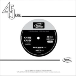 Capa do artigo Rain Walk EP - Vinil