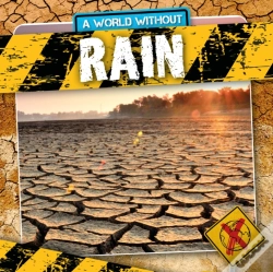 Capa do artigo Rain