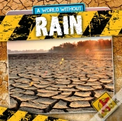 Capa do artigo Rain