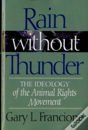 Capa do artigo Rain Without Thunder