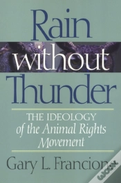 Capa do artigo Rain Without Thunder