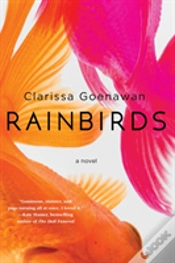 Capa do artigo Rainbirds