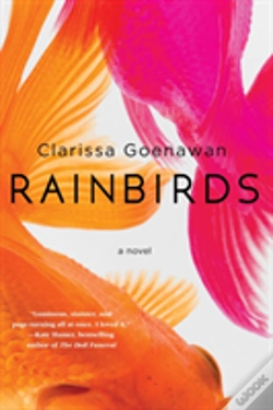 Capa do artigo Rainbirds