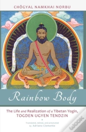 Capa do artigo Rainbow Body