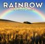Rainbow Calendar 2021 - Preview