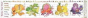Rainbow Food Activity Chart - Preview
