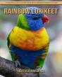 Rainbow Lorikeet - Preview