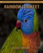 Rainbow Lorikeet - Preview