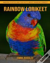 Rainbow Lorikeet