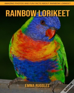 Capa do artigo Rainbow Lorikeet