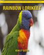 Rainbow Lorikeet - Preview