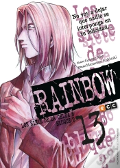 Capa do artigo Rainbow Núm. 13